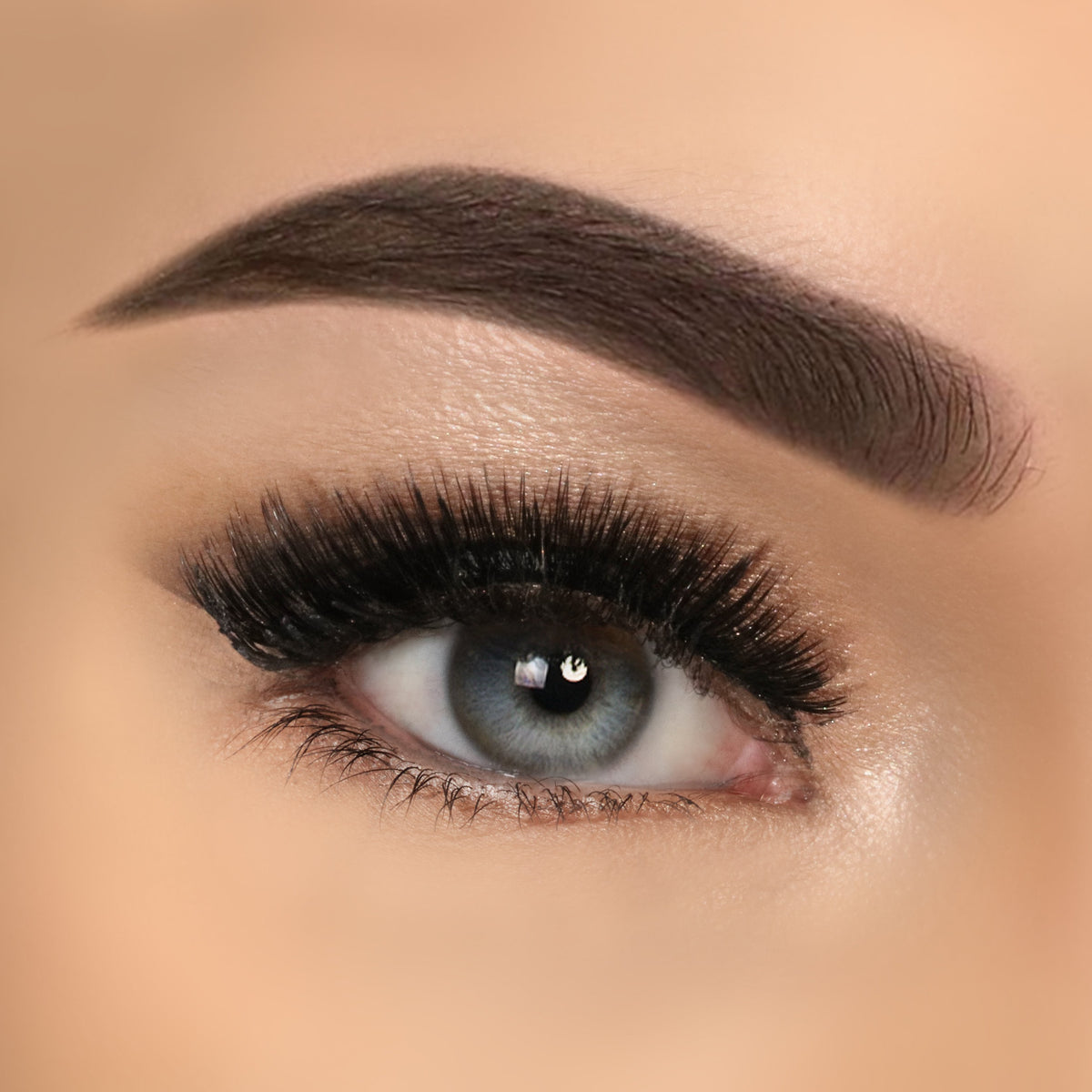 3D Volume Lashes – Hazel – sa.nanacoco